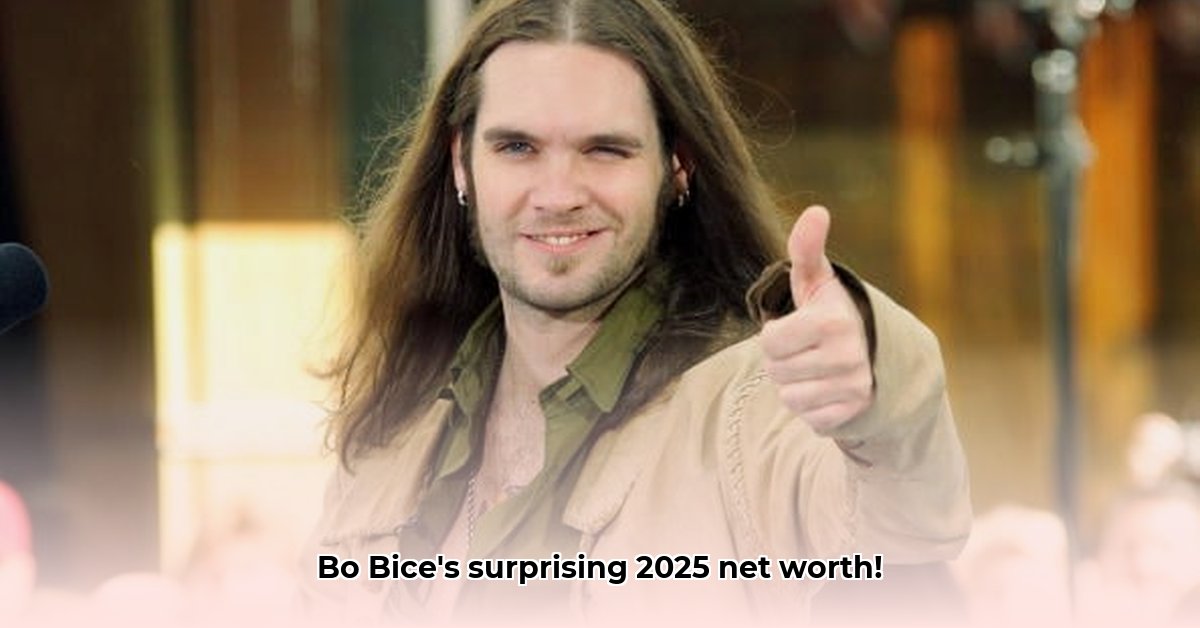 bo-bice-net-worth